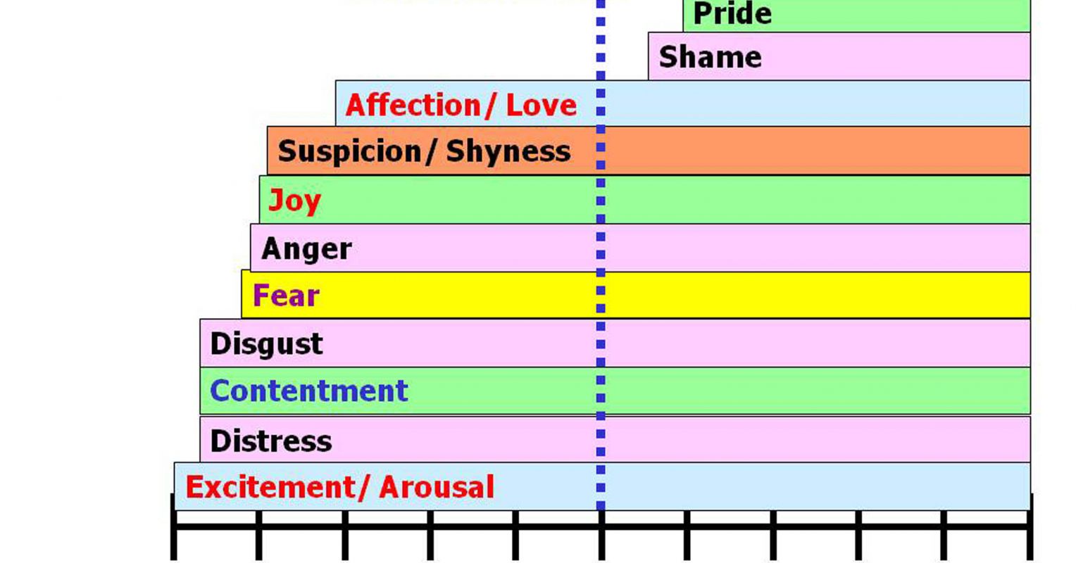 range of pets' emotions