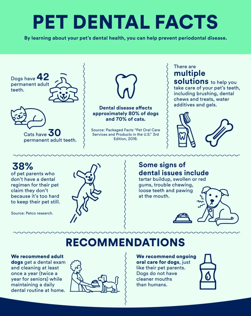 Pet Dental Facts