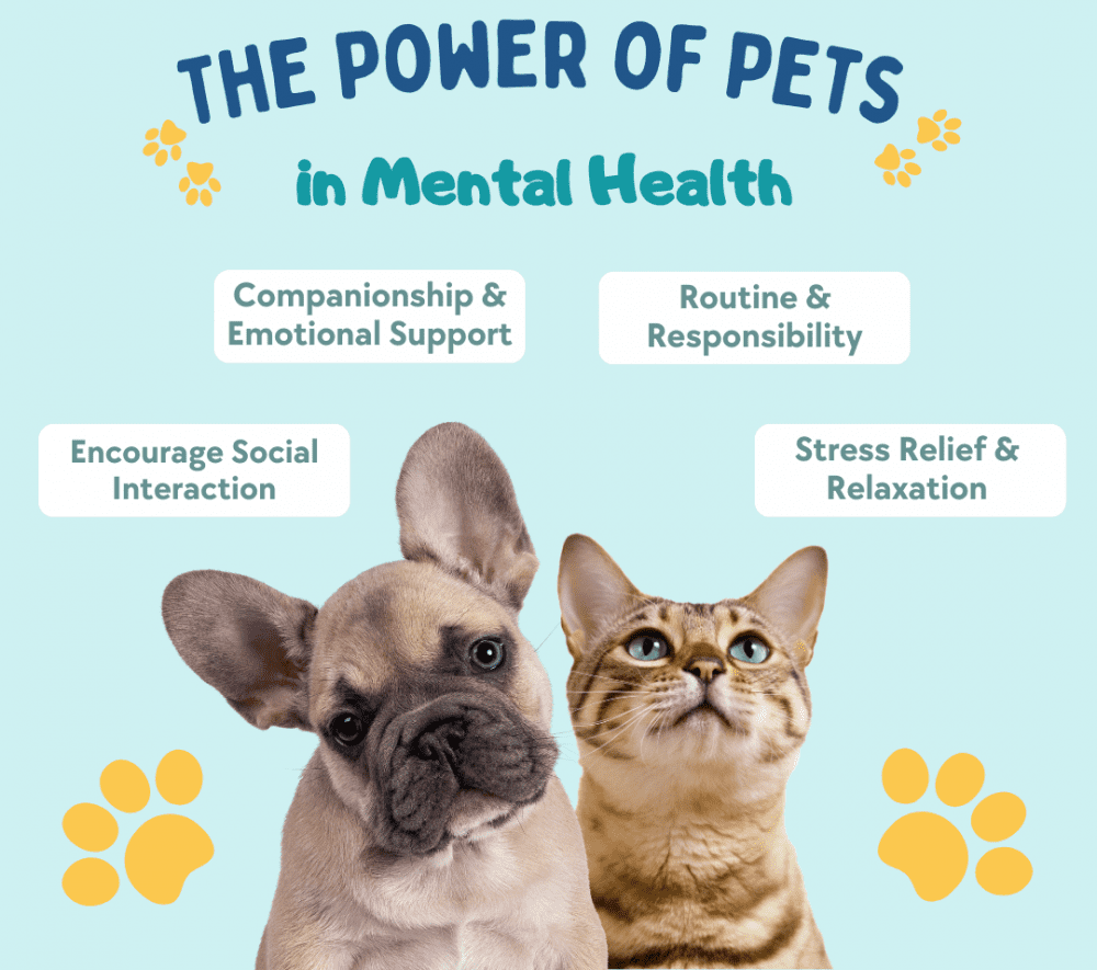 physiological benefits of interacting with pets.
