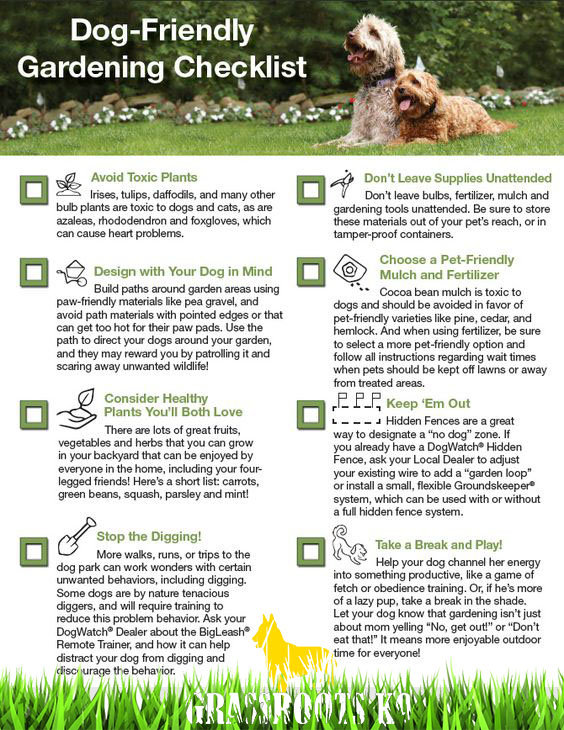 checklist for pet-friendly outdoor spaces.
