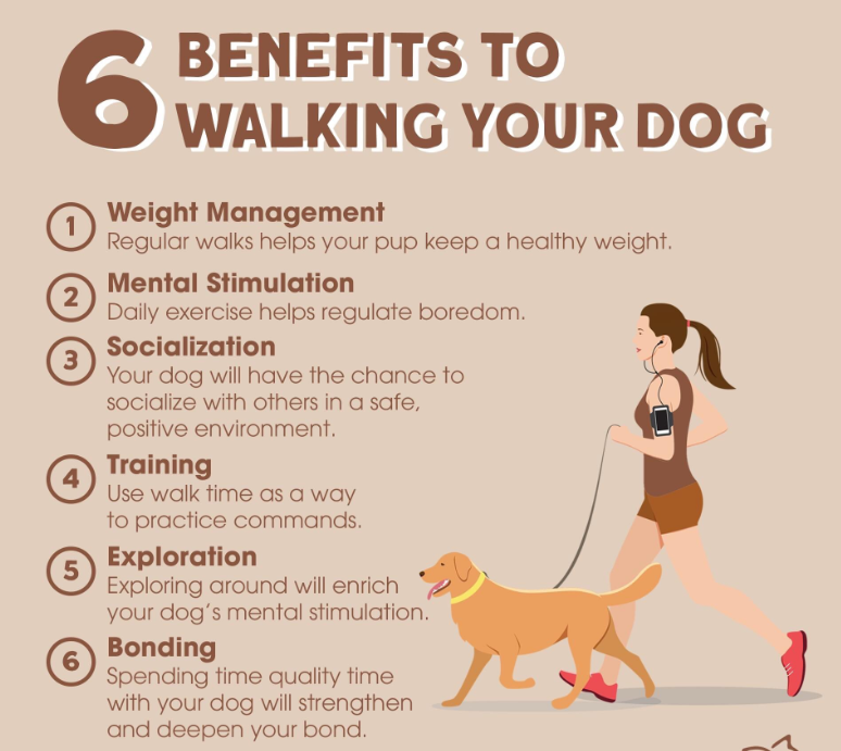 the benefits of regular exercise with pets.