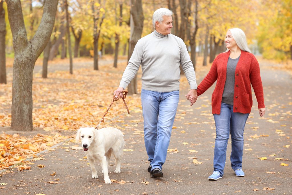 An elderly couple walking their dog in a park, illustrating the increased physical activity associated with pet ownership.