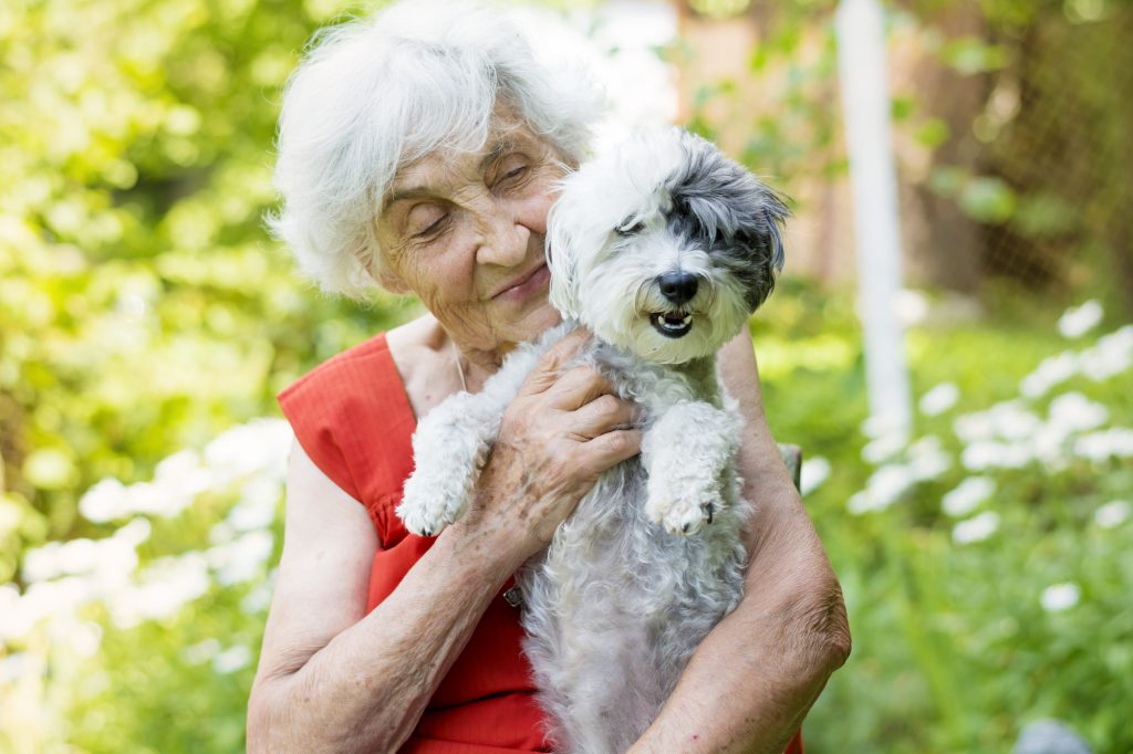 A heartwarming image of a senior woman with her pet dog