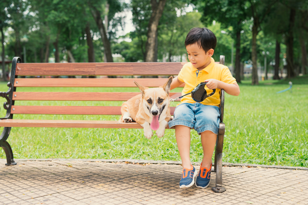 A child playing with a dog in a park, illustrating the emotional and physical benefits of pet ownership.