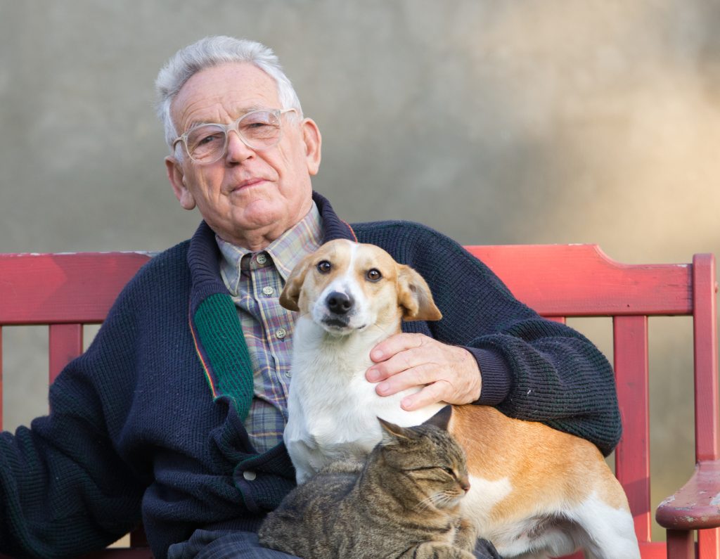 An elderly man sitting on a bench petting cat and a dog