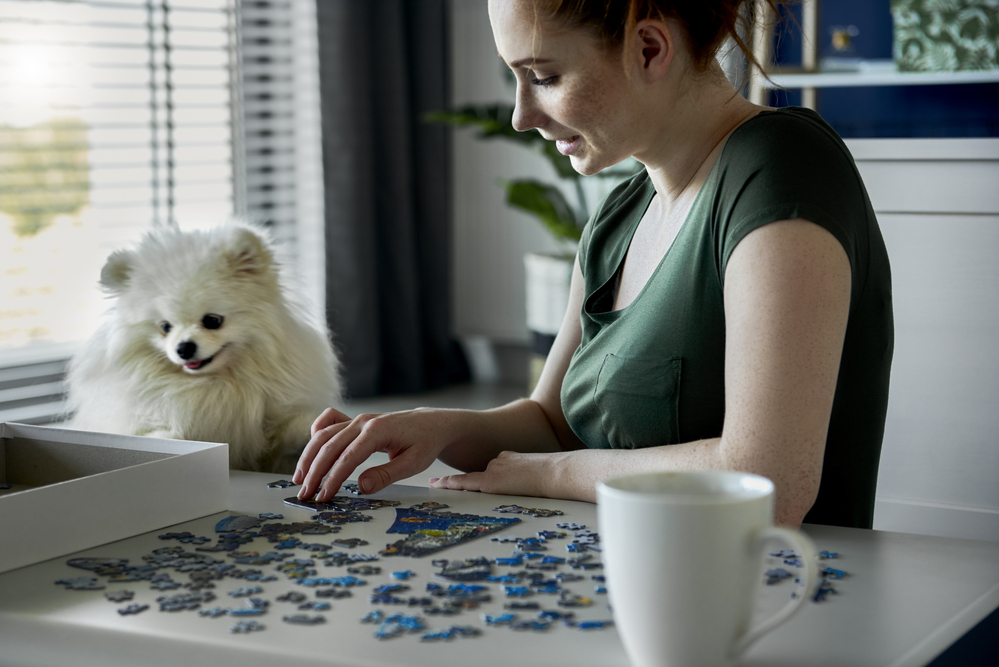 Pet owner engaging in a puzzle game with their dog