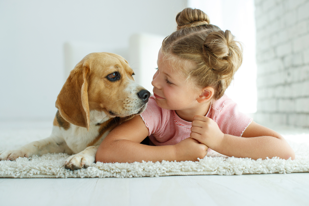 Child with a dog. Little girl plays with a dog at home