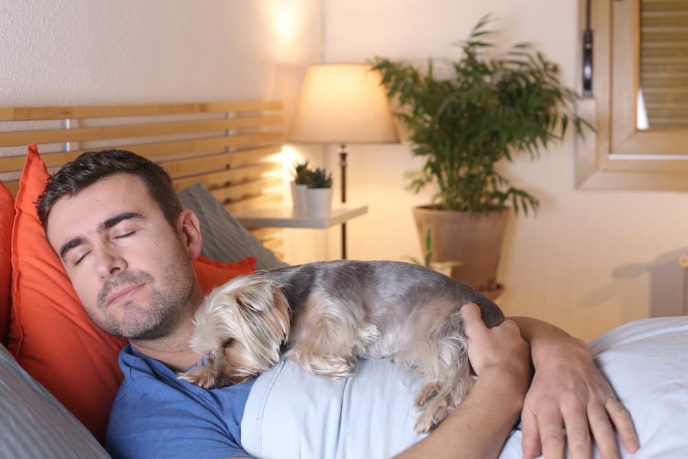 Handsome young man with his dog relaxing in bed at home