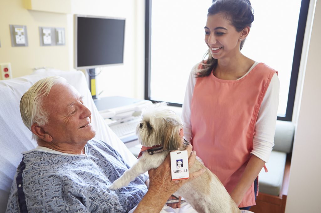 A senior person interacting with a therapy dog