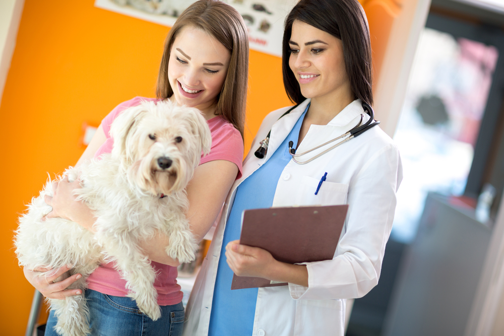 Vet consulting with a pet owner