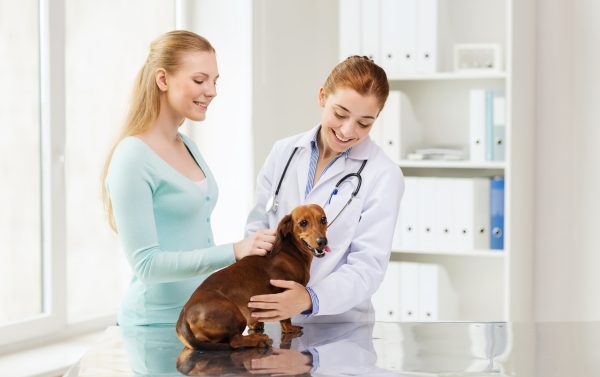 A pet owner calmly introducing their pet to the vet clinic environment.