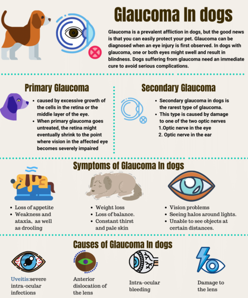 Signs of Glaucoma in dogs