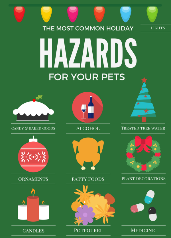 common holiday hazards for pets such as toxic foods, decoration hazards, and stress triggers.