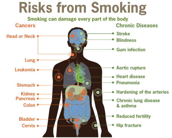 harmful effects of smoking on human health
