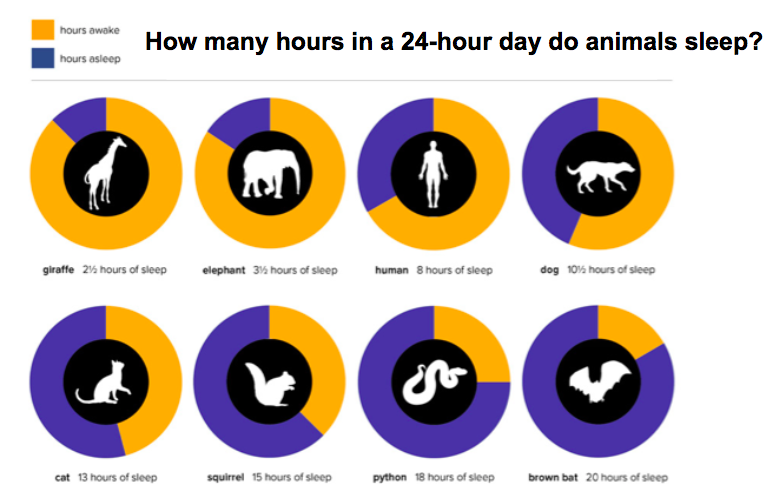 Comparative chart showing the average sleep duration for different pets and wild animals