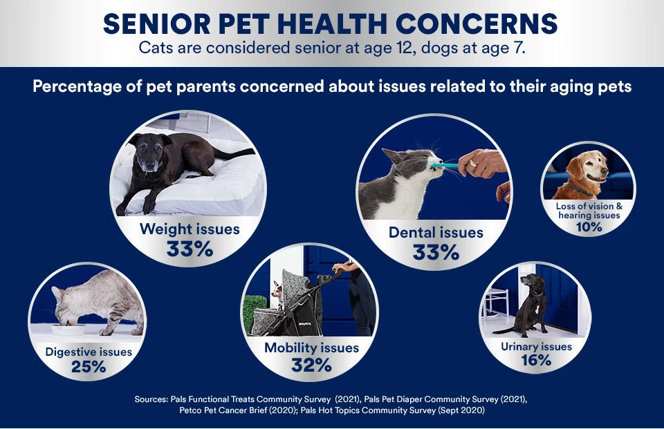 A chart showing common health issues in aging pets
