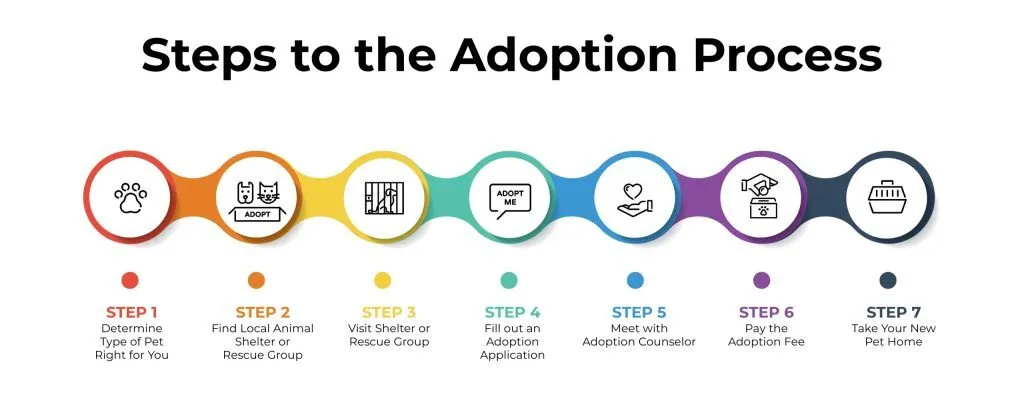typical steps in the pet adoption process.