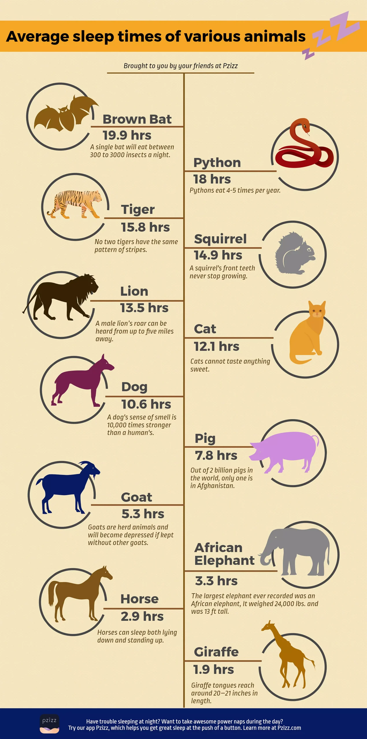 average sleep duration of various animals