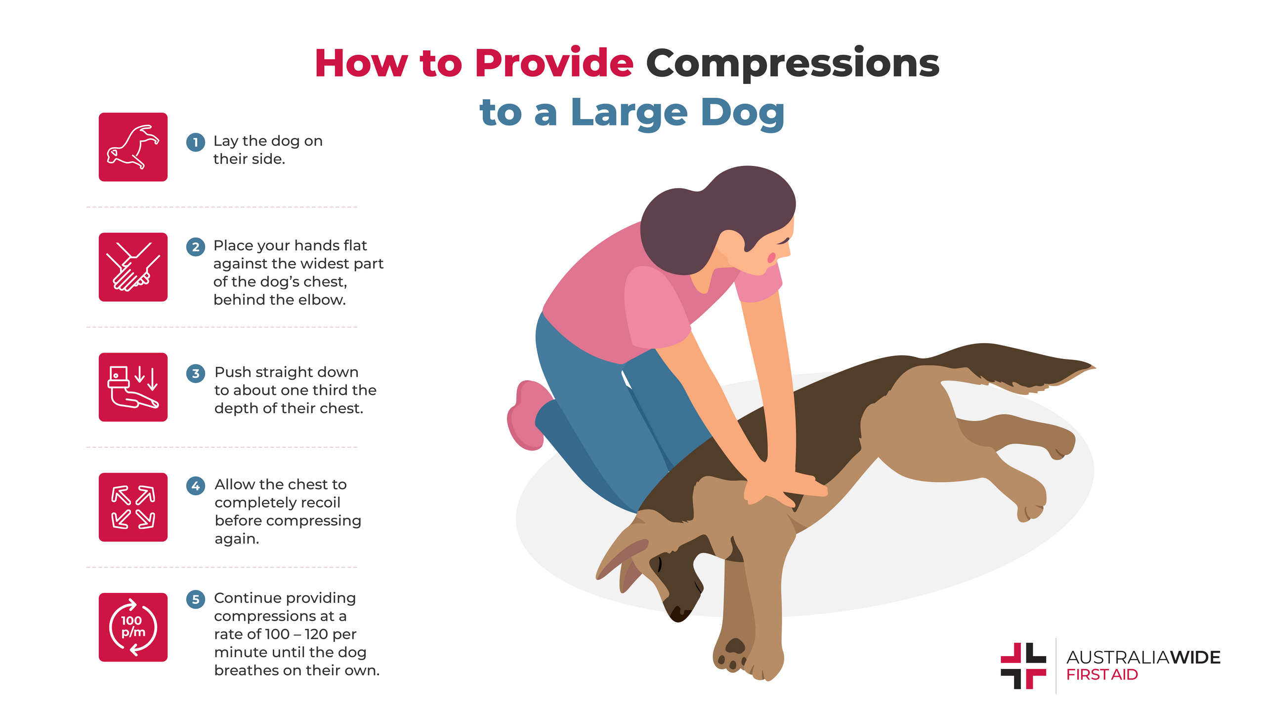 Infographic detailing steps to perform CPR on pets.