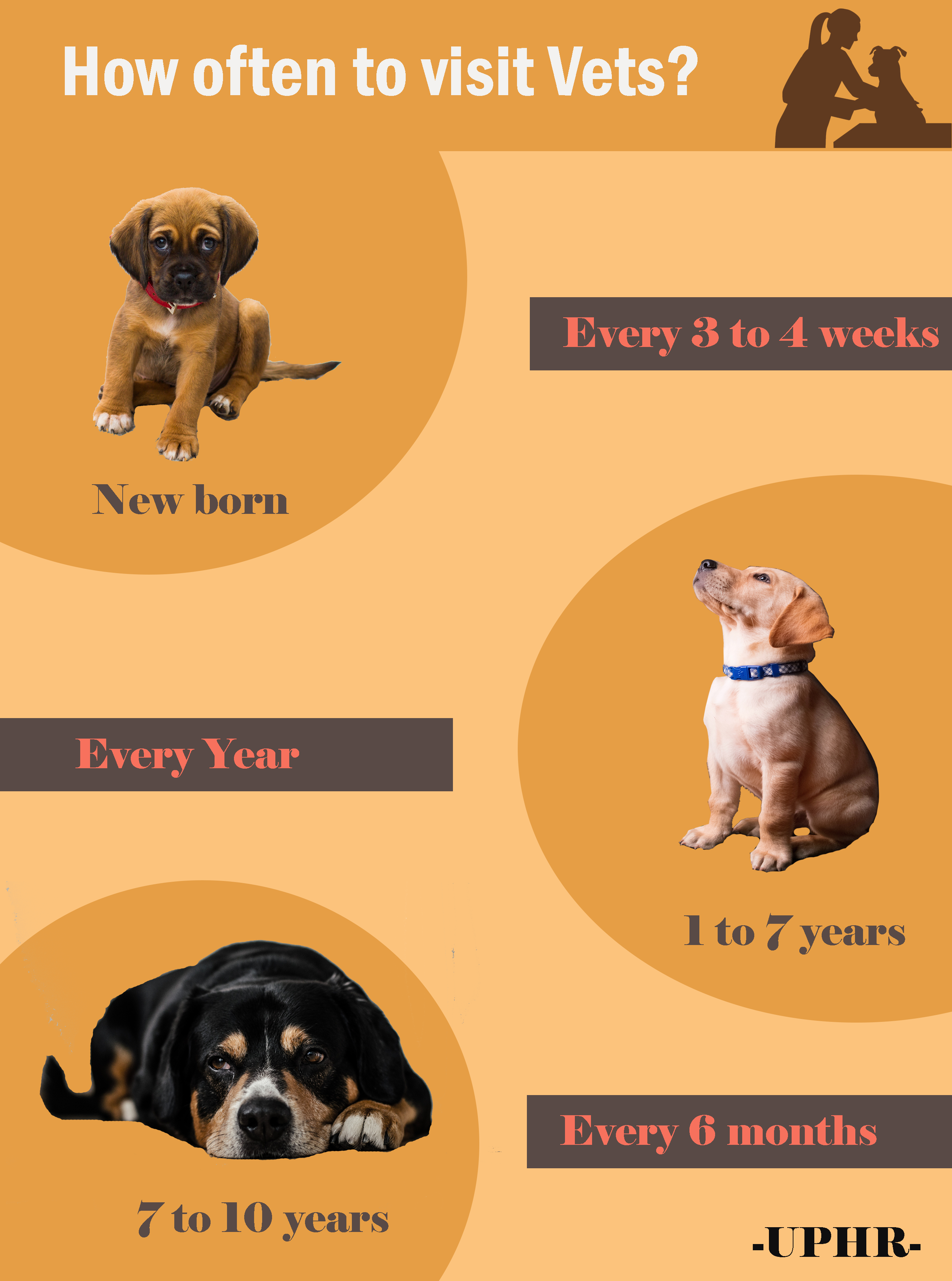 recommended frequency of vet check-ups for pets at different life stages