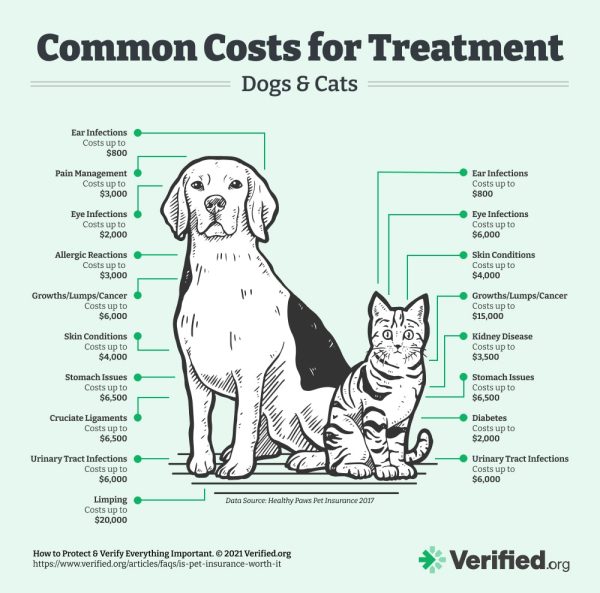A chart illustrating the costs of common pet treatments with and without pet insurance.