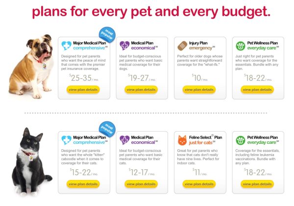 A chart illustrating the different coverage options in pet insurance