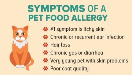 An infographic detailing the common symptoms of pet allergies.