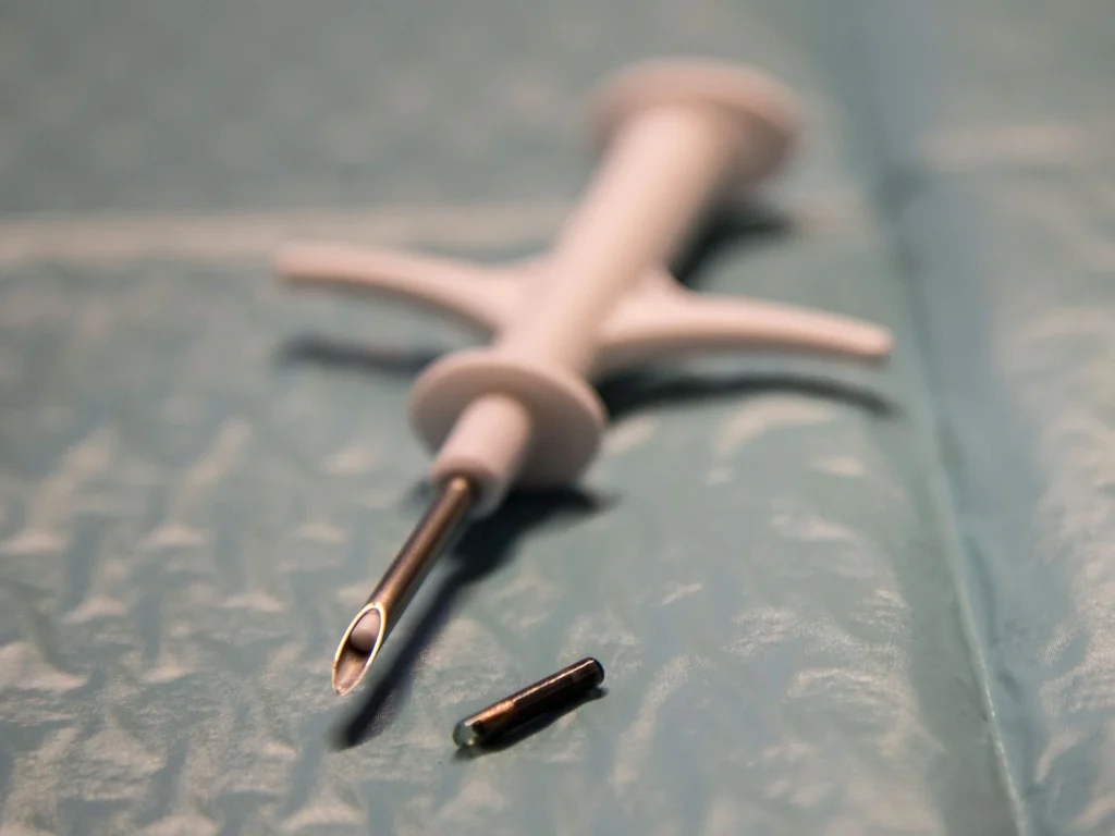 A close-up of a microchip next to a needle used for implantation.