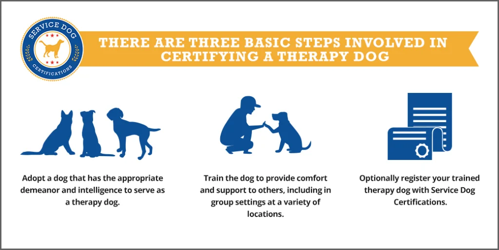 A chart illustrating the steps involved in the pet therapy certification process