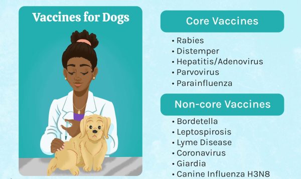 common diseases that pet vaccinations protect against