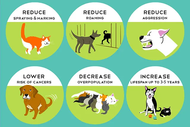 Infographic highlighting the health benefits of neutering or spaying pets.