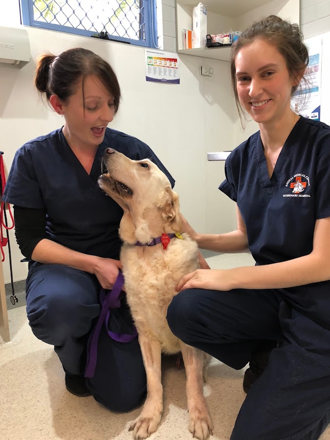 Animal Medical Centre - Pets Australia