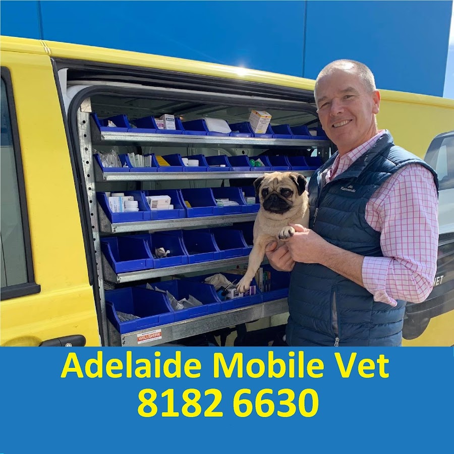 Adelaide Mobile Vet Service Pets Australia