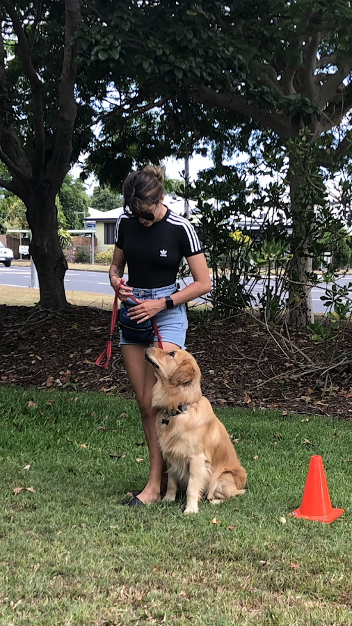 Mackay K9 Training Pets Australia