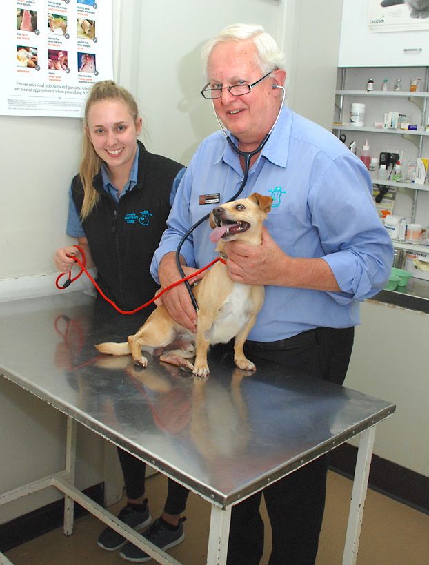 Yarraville Veterinary Clinic - Pets Australia