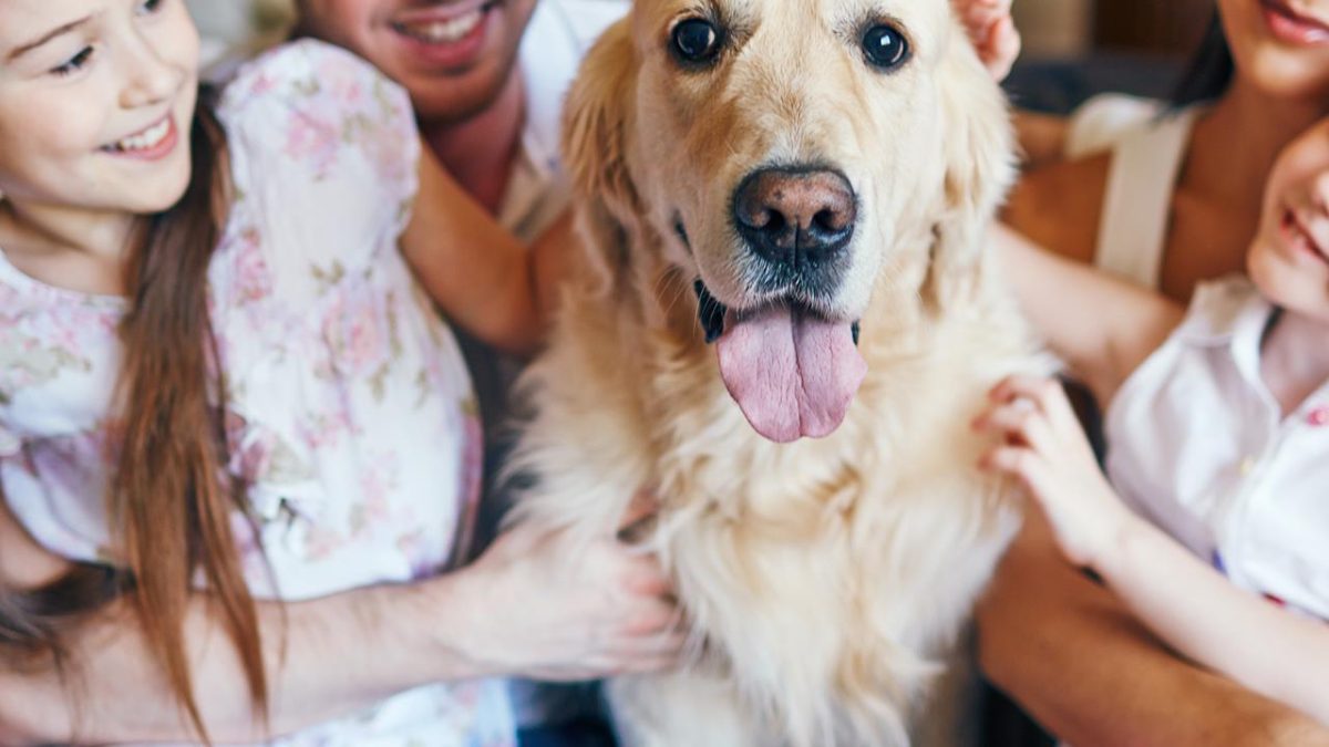 Should You Get a Pet? Weighing the Pros and Cons