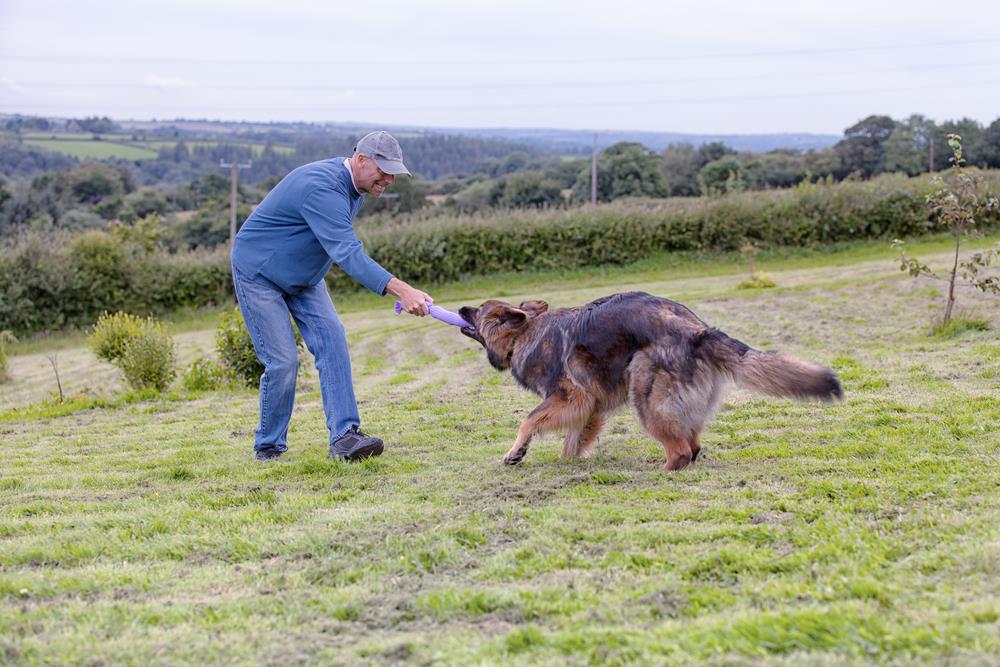 A pet trainer giving commands to a dog.