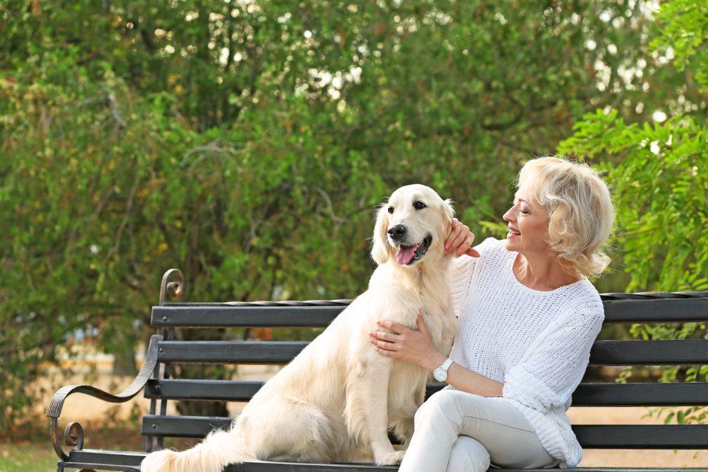 An image of a senior individual happily interacting with a pet, illustrating companionship.
