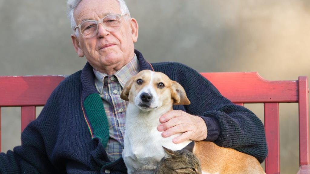 An elderly man sitting on a bench petting cat and a dog