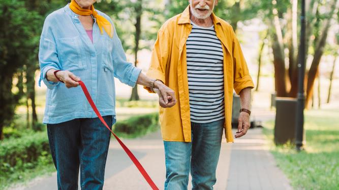 Smiling elderly couple walking pug dog