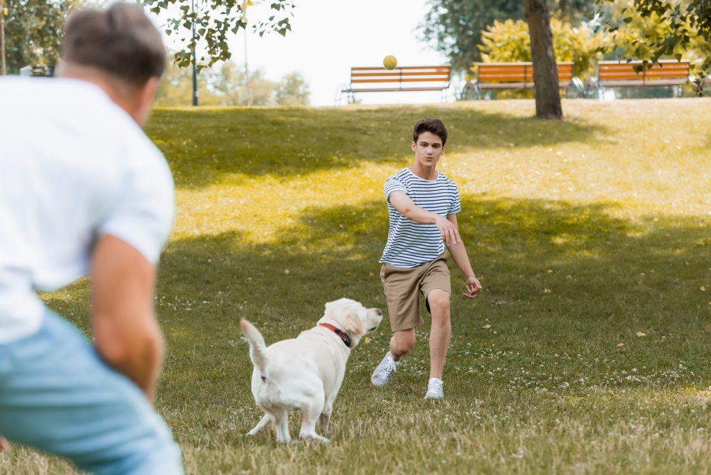 A pet owner and their dog enjoying a game of fetch in a park.