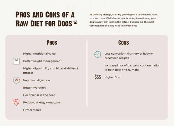 benefits and risks of raw diets for pets.