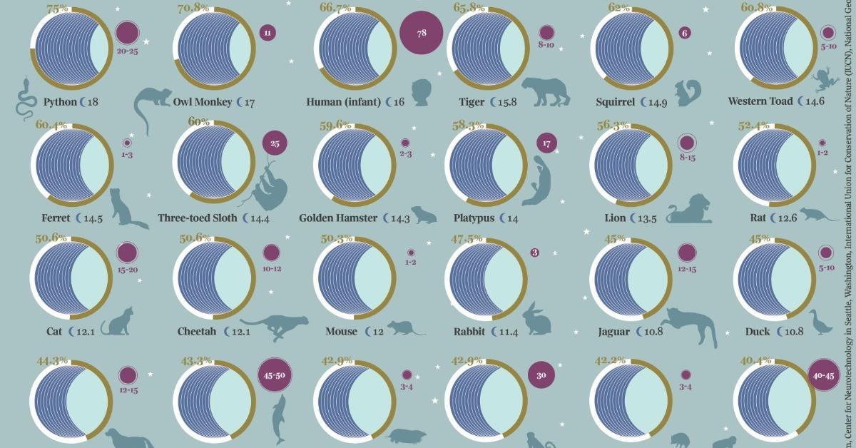 A chart illustrating the sleep patterns of different household pets and other wild animals.