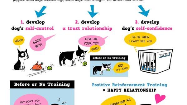 process of positive reinforcement in pet discipline