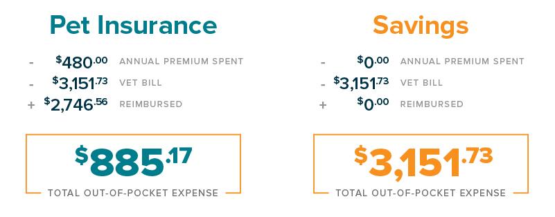 A chart comparing the cost of pet insurance premiums to potential out-of-pocket veterinary costs.