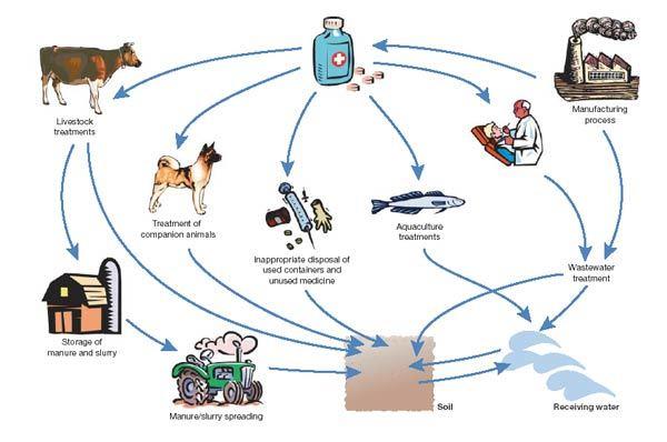 Chart showing the environmental impact of pet medication waste