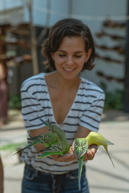 Bird_Care Image 7