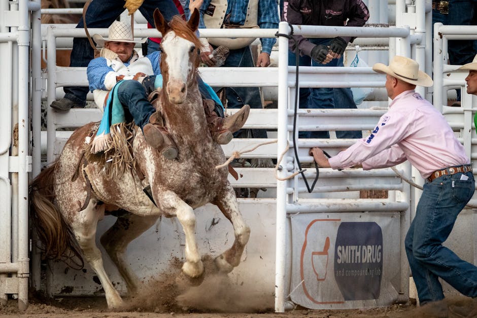 Bronc_Riding Image 8