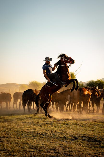 Bronc_Riding Image 4