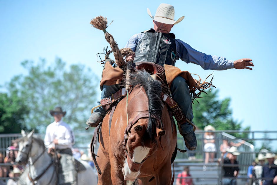 Bronc_Riding Image 1